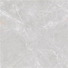 欧神诺瓷砖 苏格2代系列ELG168 进口耐磨釉 900X900mm