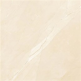 玛缇 瓷砖 金啡石 TS90A097P 900*900 柔光面大理石瓷砖