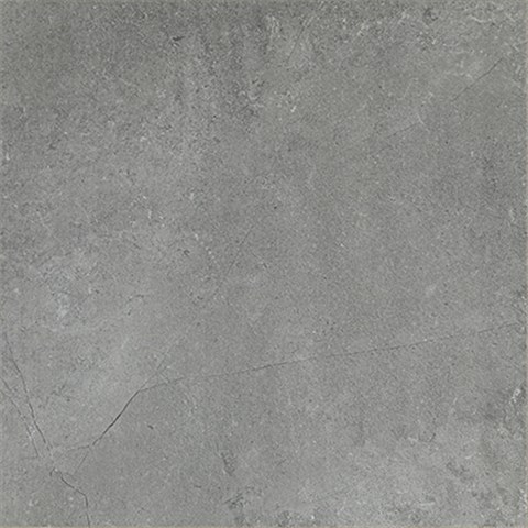 罗马利奥 瓷砖 凯撒石 C66J219 600*600 陶瓷 深灰