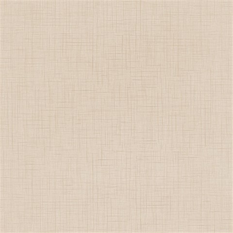 法恩莎 瓷砖 FCS60641 600*600 陶瓷 米白