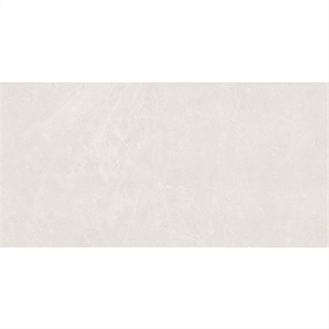 法恩莎 瓷砖 维苏威 FW63865W 300*600 陶瓷
