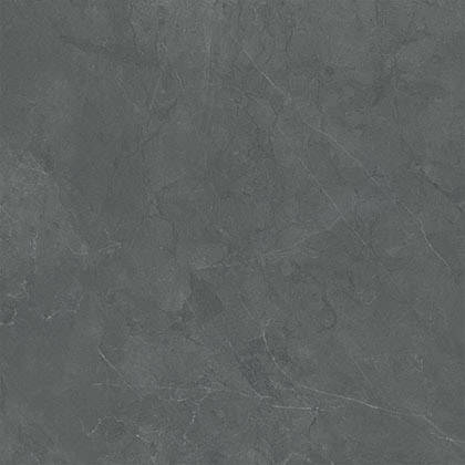 玛缇 瓷砖 保加利亚灰 TS80A194T 800*800 通体大理石瓷砖